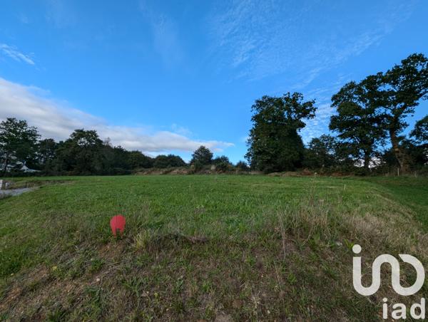 Terrain à vendre 704 m² Berné