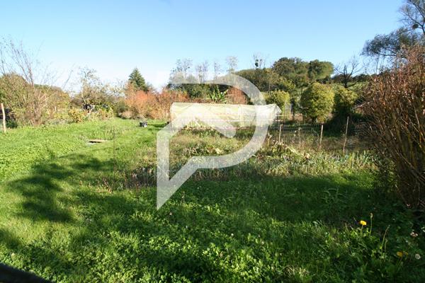 TERRAIN DE LOISIRS AVEC ETANG, BATIMENTS ET JARDIN POTAGER
