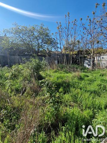 Maison à vendre 3 pièces 50 m² Lys-Haut-Layon