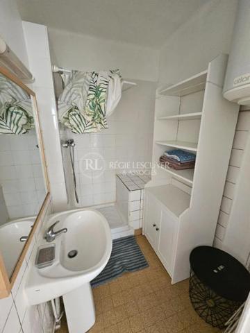 Appartement à louer à Lyon (69007)