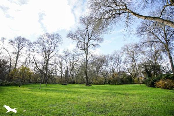 Maison à vendre |                                       Veigné |                                        8 pièces  |  240 m²