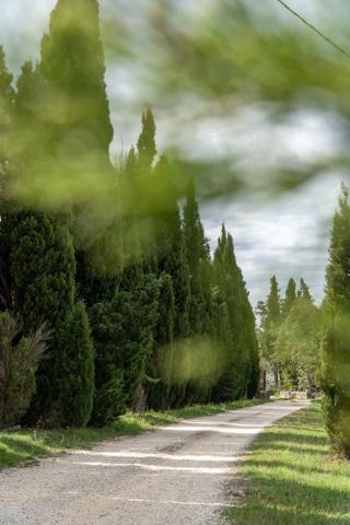 Propriété en pierre de 15 pièces avec piscine sur 4.5 hectares (30)