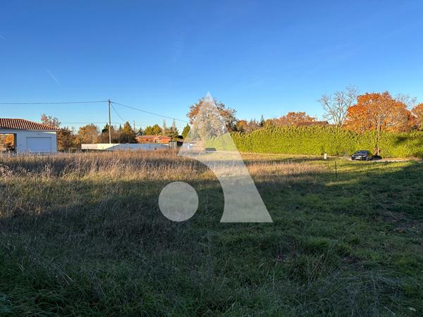 Terrain 1233 m2