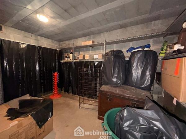 Maison 117 m² à Dangé-Saint-Romain 86220