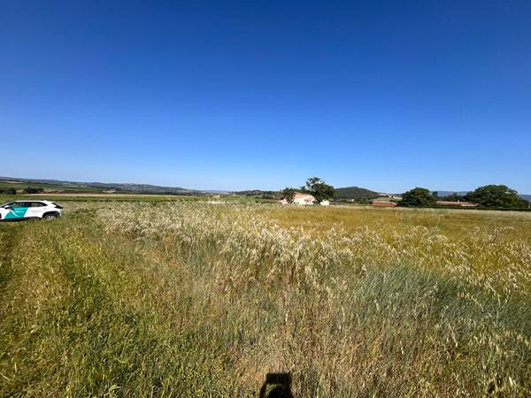PROCHE LIMOUX GRAND TERRAIN