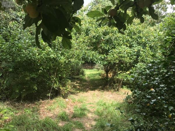 Maison à vendre à Plouhinec dans le Morbihan (56680), ref : 56039-1273