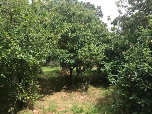 Maison à vendre à Plouhinec dans le Morbihan (56680), ref : 56039-1273