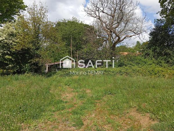 espace, proximité : le terrain idéal pour bâtir votre maison