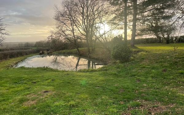 Maison à vendre    4 pièces •  Hérisson