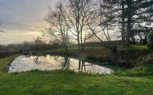 Maison à vendre    4 pièces •  Hérisson