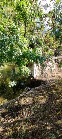 AIGRE. Immeuble avec local professionnel de 103 m², petite cour et garage 2 places. Jardin.