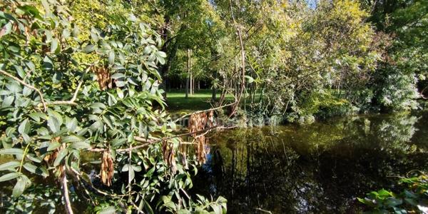 AIGRE. Immeuble avec local professionnel de 103 m², petite cour et garage 2 places. Jardin.