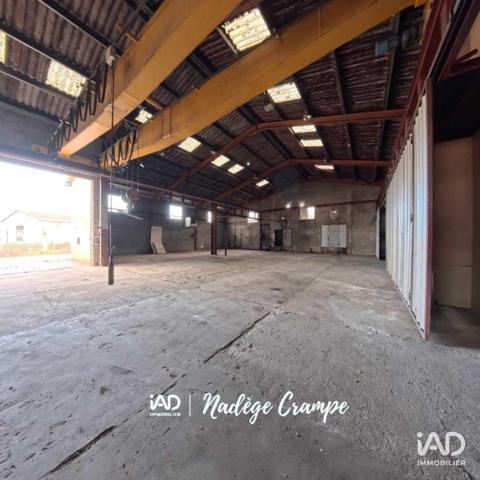 Local d’activité à vendre 702 m² Ibos