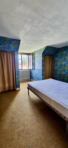 DEMEURE FAMILIALE A TRES FORT POTENTIEL