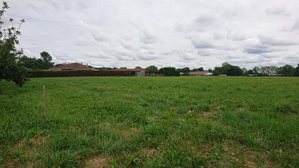 terrain de 2869m2 constructible et divisible avec assainissement collectif