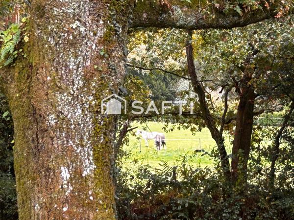 Au calme d’une impasse, propriété avec vie de plain-pied et sous-sol complet