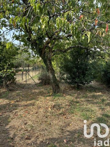 Maison à vendre 6 pièces 115 m² Levet