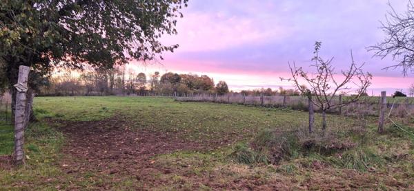 Belle Propriété d'Agrément et sa Maison Individuelle de 164 m² sur Sous-sol complet et Véranda à Rénover avec Cour, Garages, Caves, Dépendances et Terrain clos et paysager de 10192 m²