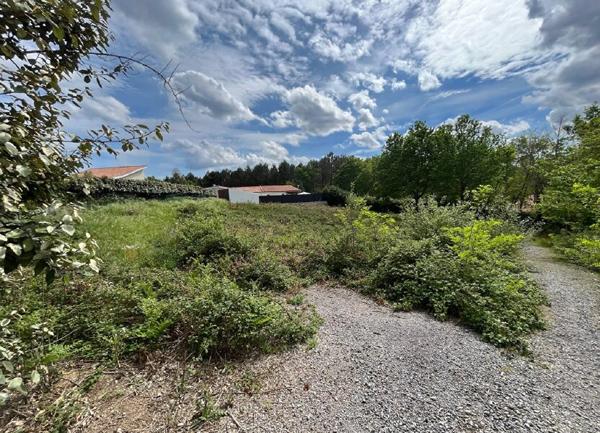 Terrain à vendre    Rion-des-Landes