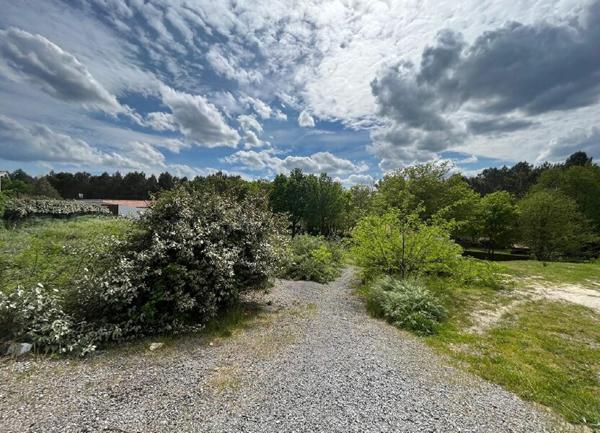 Terrain à vendre    Rion-des-Landes