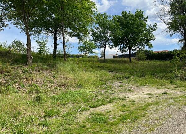 Terrain à vendre    Rion-des-Landes
