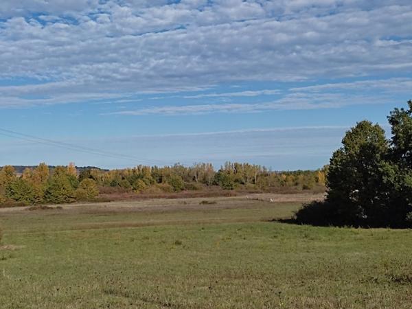 TERRAIN A BATIR POUR LOTISSEMENT