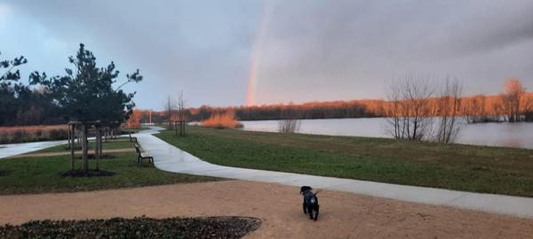 F3 récent, terrasse, jardin, garage double