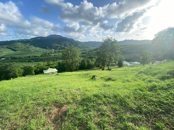 Terrain à vendre    Le François
