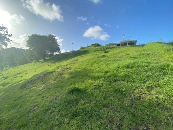 Terrain à vendre    Le François