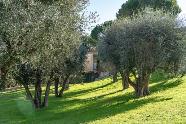 Appartement à vendre |  Villeneuve-Loubet |  2 pièces | 42 m²
