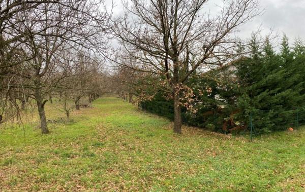 Vente Terrain Marges   