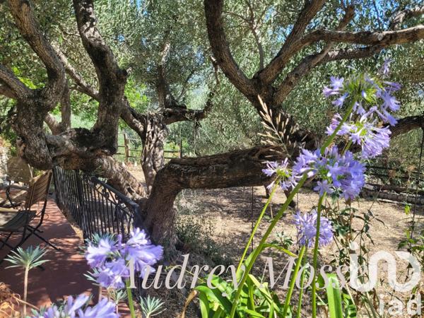 Maison à vendre 5 pièces 115 m² Le Revest-les-Eaux