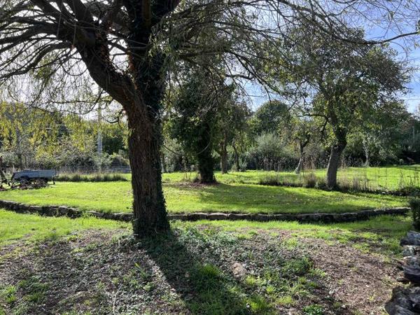 Maison à vendre |  Plouhinec |  4 pièces | 245 m²