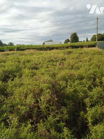 Terrain à vendre Offranville