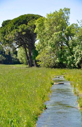 A vendre - Eyguières - Domaine agricole à restaurer