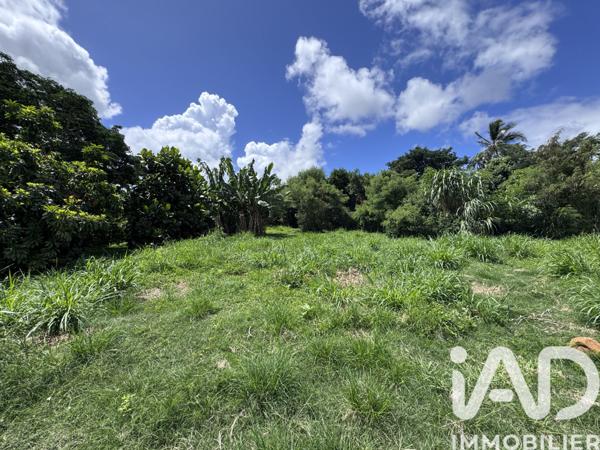 Terrain à vendre 1 854 m² Sainte-Marie