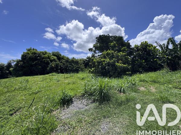 Terrain à vendre 1 854 m² Sainte-Marie