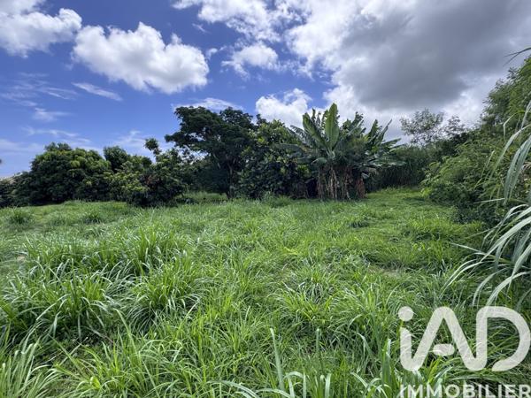 Terrain à vendre 1 854 m² Sainte-Marie