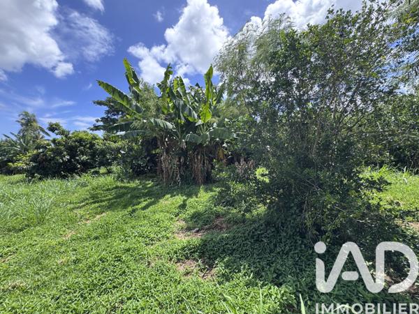 Terrain à vendre 1 854 m² Sainte-Marie