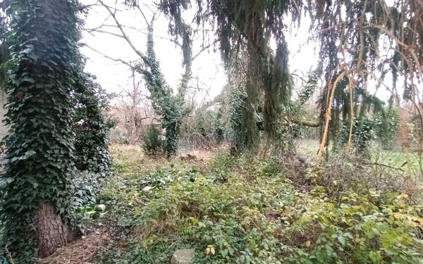 Maison à vendre    4 pièces •  Bonneuil-sur-Marne