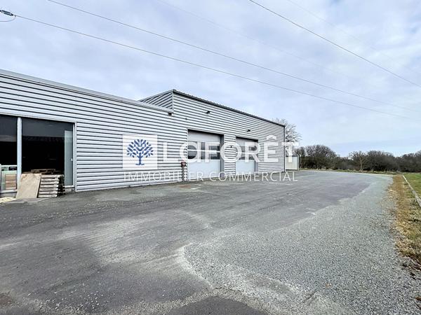 Location local commercial Bressuire - 430 m² - 3 200 €/mois