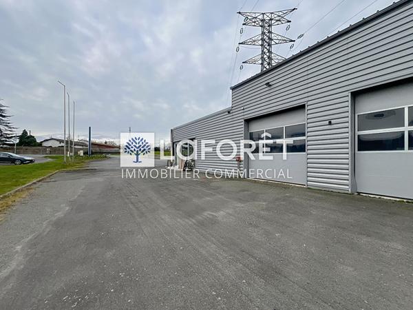 Location local commercial Bressuire - 430 m² - 3 200 €/mois