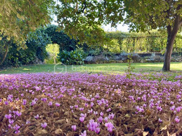 Maison en pierre de 333,67 m²