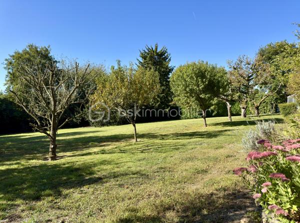 Maison en pierre de 333,67 m²