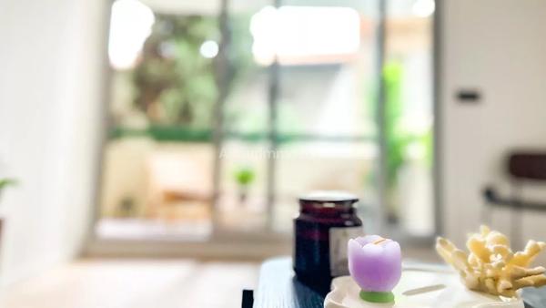 Vente Appartement 2 pièces 30 m2 à Nice