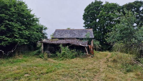 Fermette à vendre 4 pièces NOYAL PONTIVY (56) 11 740m² a rénover
