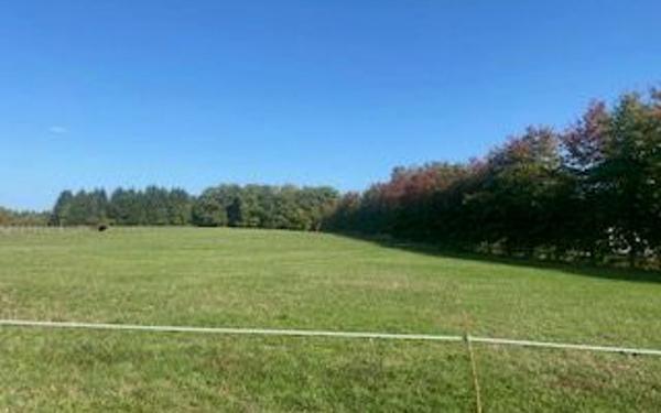 Terrain à vendre    Saint-Just-le-Martel