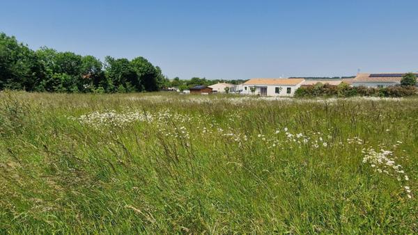 Terrain à LANDES, 17380 - 849m²