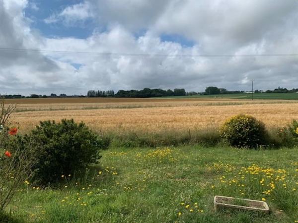 Maison à vendre 6 pièces FREHEL (22)