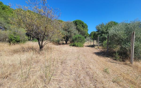 Maison à vendre    7 pièces •  Ouveillan